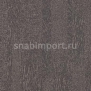 Ковровое покрытие Forbo Flotex Penang 482020