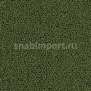 Ковровое покрытие Vorwerk SCANO 4D24 зеленый — купить в Москве в интернет-магазине Snabimport