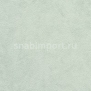 Виниловые обои BN International Suwide Impreza BN 5776 зеленый — купить в Москве в интернет-магазине Snabimport
