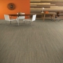 Ковровое покрытие Shaw ALTERNATURE Grounded 5A190-38103 Серый