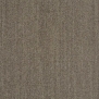 Ковровое покрытие Shaw ALTERNATURE Grounded 5A190-38761