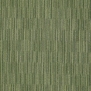 Ковровое покрытие Shaw HAND DRAWN Scribe 5A215-15325 зеленый — купить в Москве в интернет-магазине Snabimport
