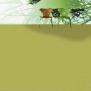 Ковровая плитка Shaw LIGHT SERIES Applied Tile 5T004-04284 зеленый