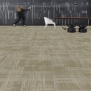 Ковровая плитка Shaw HAND DRAWN Lineweight Tile 5T114-13170 Бежевый