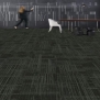 Ковровая плитка Shaw HAND DRAWN Lineweight Tile 5T114-13505 чёрный