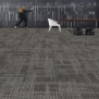 Ковровая плитка Shaw HAND DRAWN Lineweight Tile 5T114-13557 Серый