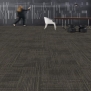 Ковровая плитка Shaw HAND DRAWN Lineweight Tile 5T114-13750 Серый