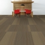 Ковровая плитка Shaw NO RULES Disperse 9x36 Tile 5T184-75715 коричневый