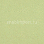 Виниловые обои BN International Suwide Scala BN 6017 зеленый — купить в Москве в интернет-магазине Snabimport