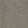Ковровое покрытие Shaw QUITE CANVAS Imagery 60774-00513 Серый — купить в Москве в интернет-магазине Snabimport
