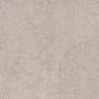 Ковровое покрытие Tapibel Belflor SDN 63630