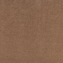 Ковровое покрытие Tapibel Diplomat 66120