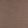 Ковровое покрытие Tapibel Diplomat 66125