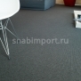 Ковровое покрытие Bentzon Carpets Beta 670011 Серый