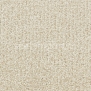 Ковровое покрытие Vorwerk ODINA 6A95