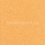 Коммерческий линолеум Armstrong Favorite R10 PUR 710-072 — купить в Москве в интернет-магазине Snabimport
