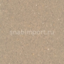 Коммерческий линолеум Armstrong Favorite PUR 726-045 — купить в Москве в интернет-магазине Snabimport
