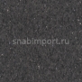 Коммерческий линолеум Armstrong Favorite PUR 726-087 — купить в Москве в интернет-магазине Snabimport
