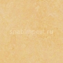 Натуральный линолеум Forbo Marmoleum click 753846