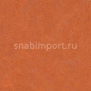 Натуральный линолеум Forbo Marmoleum click 753870