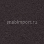 Ковровое покрытие Vorwerk DUNA 2014 7F01 черный — купить в Москве в интернет-магазине Snabimport
