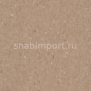 Коммерческий линолеум Armstrong Medintone PUR 885-316 — купить в Москве в интернет-магазине Snabimport