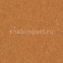 Коммерческий линолеум Armstrong Medintone PUR 885-324 — купить в Москве в интернет-магазине Snabimport