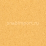 Коммерческий линолеум Armstrong Medintone PUR 885-335 — купить в Москве в интернет-магазине Snabimport