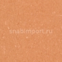 Коммерческий линолеум Armstrong Medintone PUR 885-338 — купить в Москве в интернет-магазине Snabimport