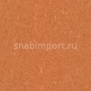 Коммерческий линолеум Armstrong Medintone PUR 885-339 — купить в Москве в интернет-магазине Snabimport