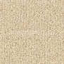Ковровое покрытие Vorwerk ODINA 8C68