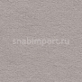 Ковровое покрытие Vorwerk DUNA 2014 8G62 серый — купить в Москве в интернет-магазине Snabimport