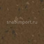 Каучуковое покрытие Nora norament 926 satura 5104 коричневый — купить в Москве в интернет-магазине Snabimport