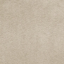 Ковровое покрытие Associated Weavers Silk-39