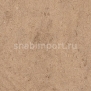 Дизайн плитка Amtico Assura Stone AA0SMS45 коричневый — купить в Москве в интернет-магазине Snabimport
