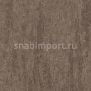 Дизайн плитка Amtico Assura Stone AA0SPB43 коричневый — купить в Москве в интернет-магазине Snabimport