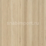 Дизайн плитка Amtico Assura Wood AA0W7500