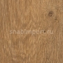Дизайн плитка Amtico Assura Wood AA0W7830