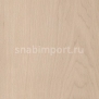 Дизайн плитка Amtico Marine Wood AM5W2654