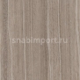 Дизайн плитка Amtico Marine Wood AM5W7800 Серый — купить в Москве в интернет-магазине Snabimport