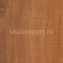 Дизайн плитка Amtico Marine Wood AM5W8000 коричневый — купить в Москве в интернет-магазине Snabimport