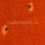 Ковровое покрытие Nordpfeil Hotel-Collection Amati 077 Оранжевый — купить в Москве в интернет-магазине Snabimport