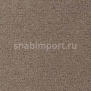 Ковровое покрытие Radici Pietro Forum ANTILOPE 2402 коричневый — купить в Москве в интернет-магазине Snabimport