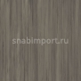 Дизайн плитка Amtico Signature Abstract AR0A8420 коричневый — купить в Москве в интернет-магазине Snabimport