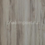 Дизайн плитка Art Tile Fit ATF 260 Дуб Кемпер Серый — купить в Москве в интернет-магазине Snabimport