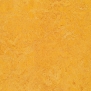 Натуральный линолеум Forbo Marmoleum Authentic-3225 желтый — купить в Москве в интернет-магазине Snabimport