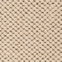 Ковровое покрытие Bestwool Authentic Wool Бежевый — купить в Москве в интернет-магазине Snabimport
