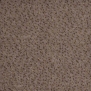 Ковровое покрытие Fletco Avanti Pixel 302200 коричневый — купить в Москве в интернет-магазине Snabimport