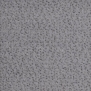 Ковровое покрытие Fletco Avanti Pixel 302300