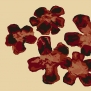 Ковер Durkan Print Dstinctive Design Vol 4 AW43264